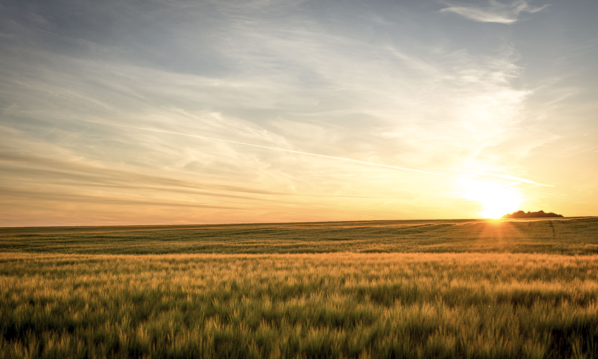 landschaft-compag-austria